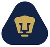 美洲狮女足