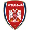 SSG尼古拉特斯拉